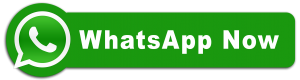 whatsapp icon
